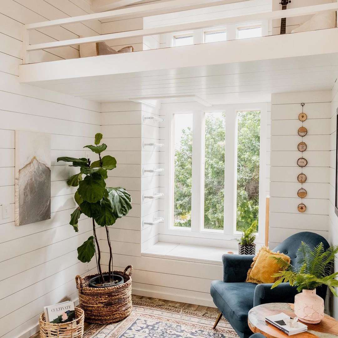 在小型家的大窗口与小野鸭座位。