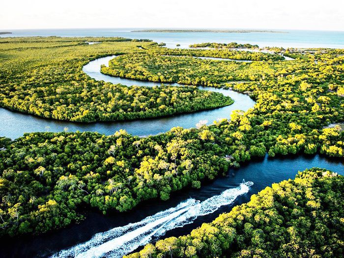 最好的暑假——马达加斯加