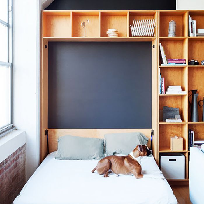 一只狗坐在床上