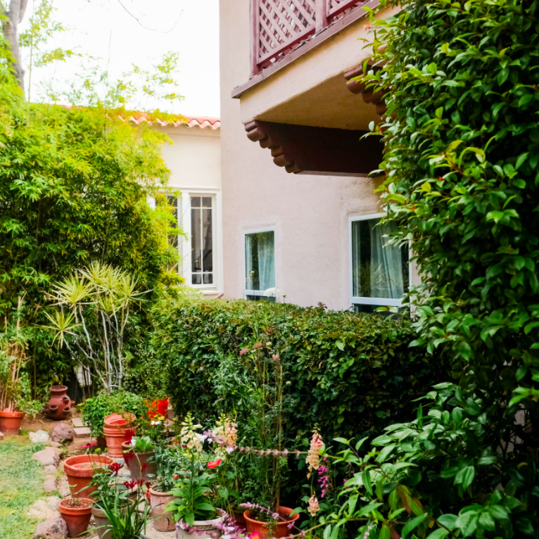 Dazey den走道的想法