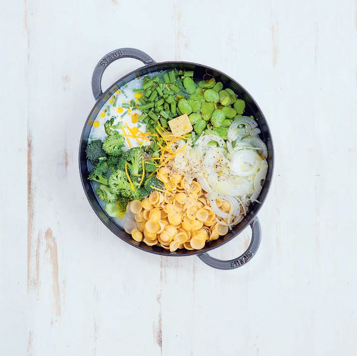 猫耳朵的Primavera