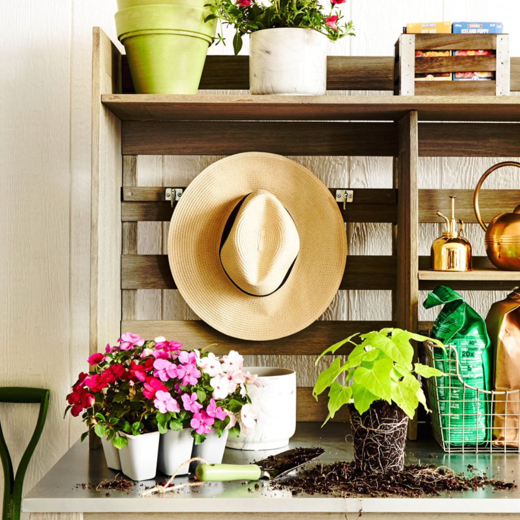 架子园艺用品和植物。