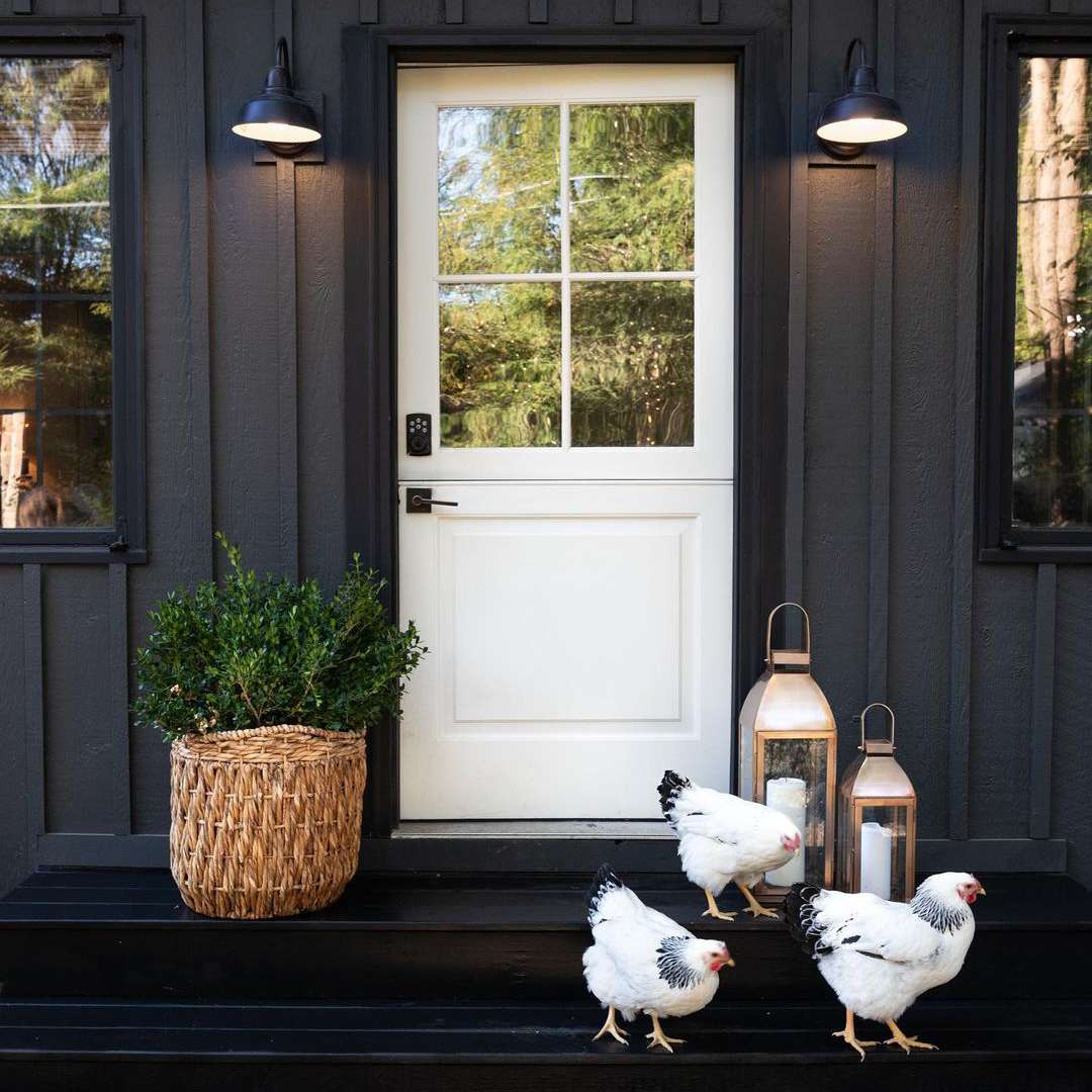 有白色荷兰门的黑房子