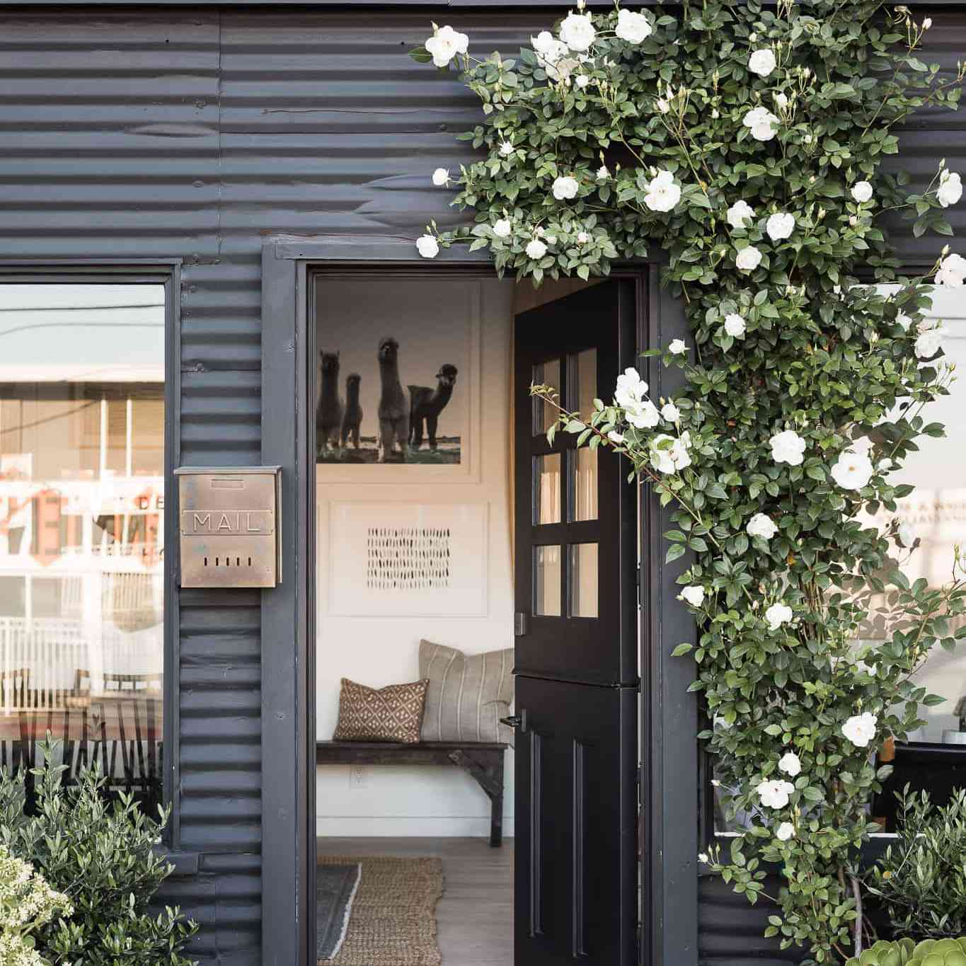 明迪华美的外观。