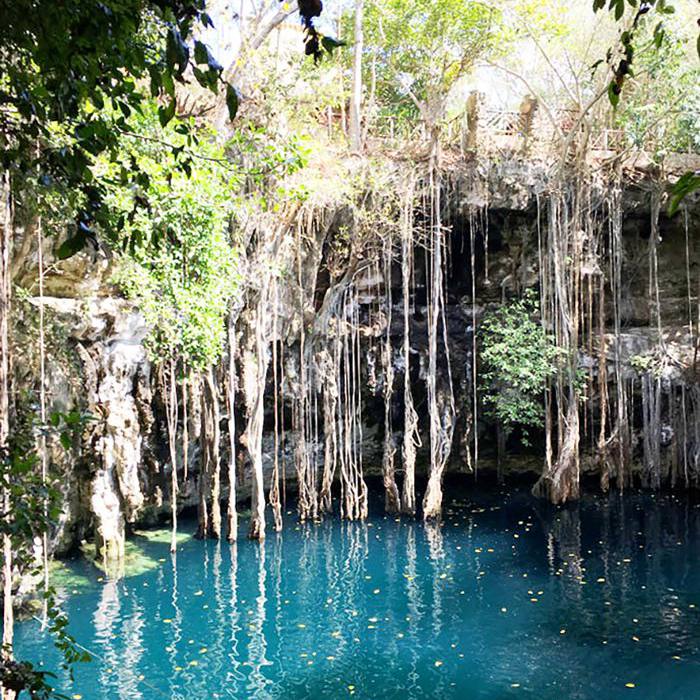 世界上最好的自然假期