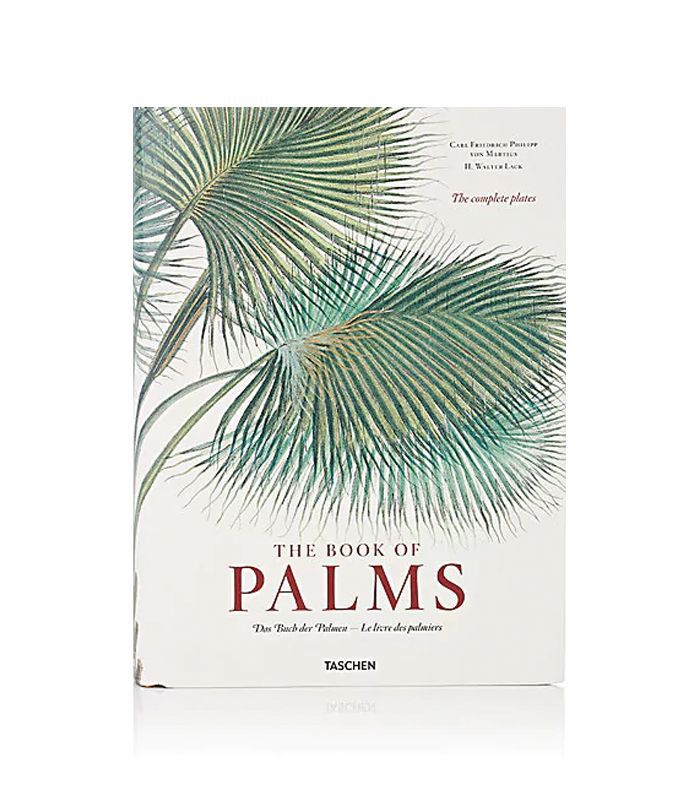 马秀斯:《棕榈树之书》