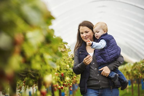母亲和蹒跚学步的孩子