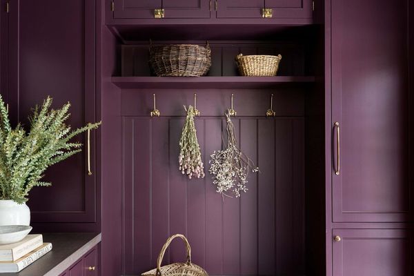 明亮的茄子寄存室