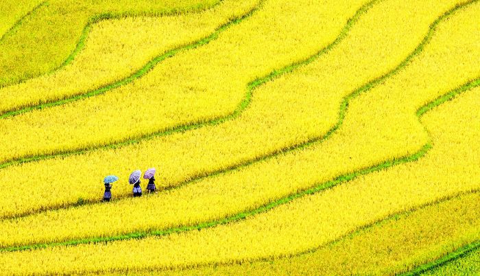 国际旅行alone-Bali