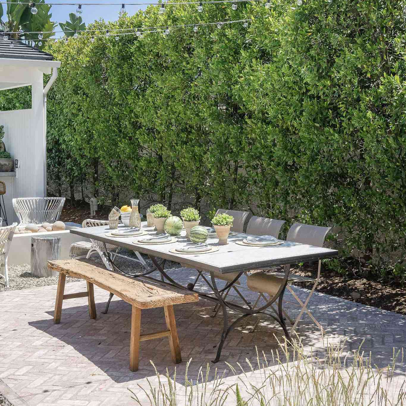 一个户外的餐桌，上面有一些植物和一些松散的西瓜