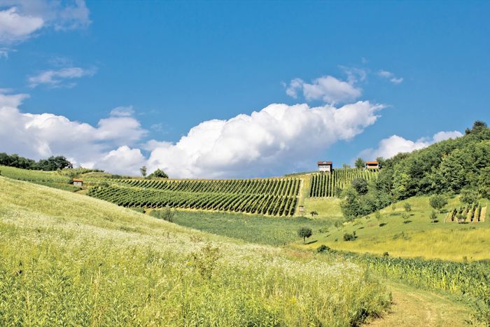 要做的事情在克罗地亚 - 姆列特“class=