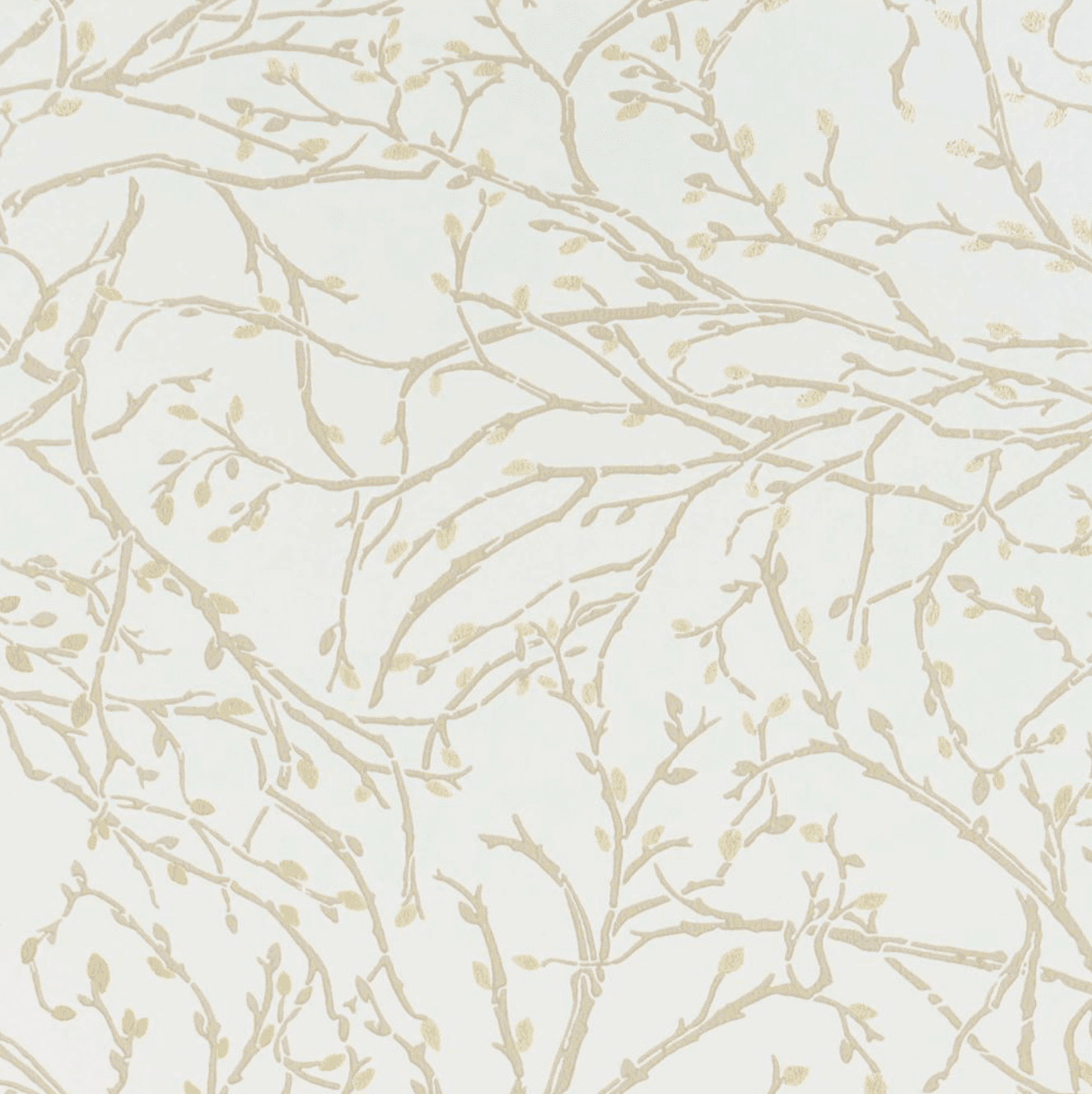 柏克装饰(Burke Decor)目前正在出售的一块象牙墙纸