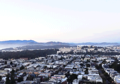 区留在旧金山