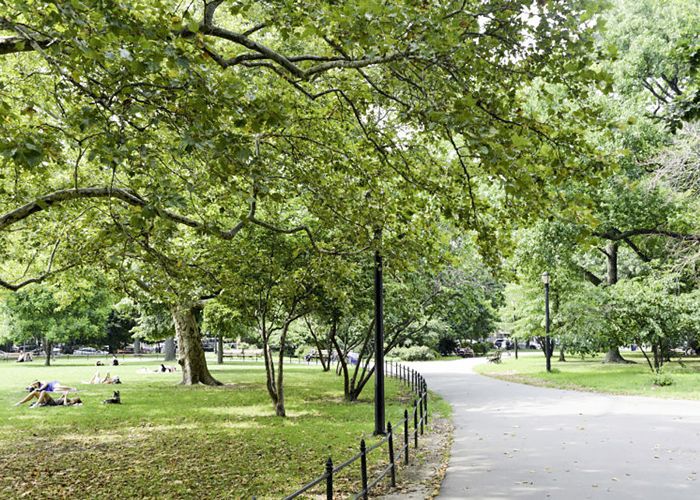 迈凯轮公园散步”class=