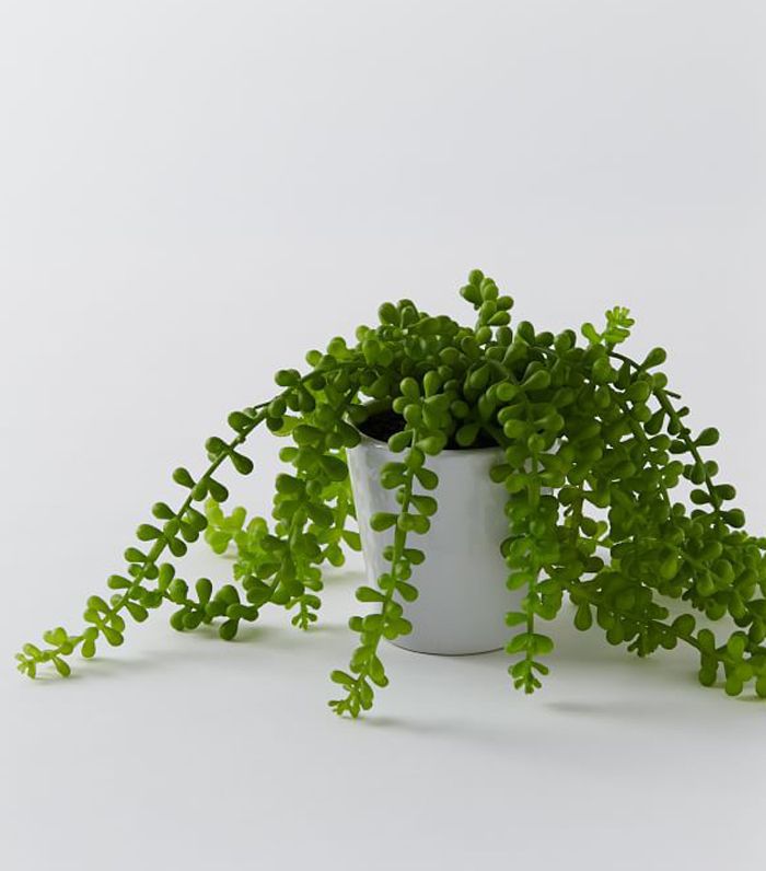 人造盆栽肉质拖地