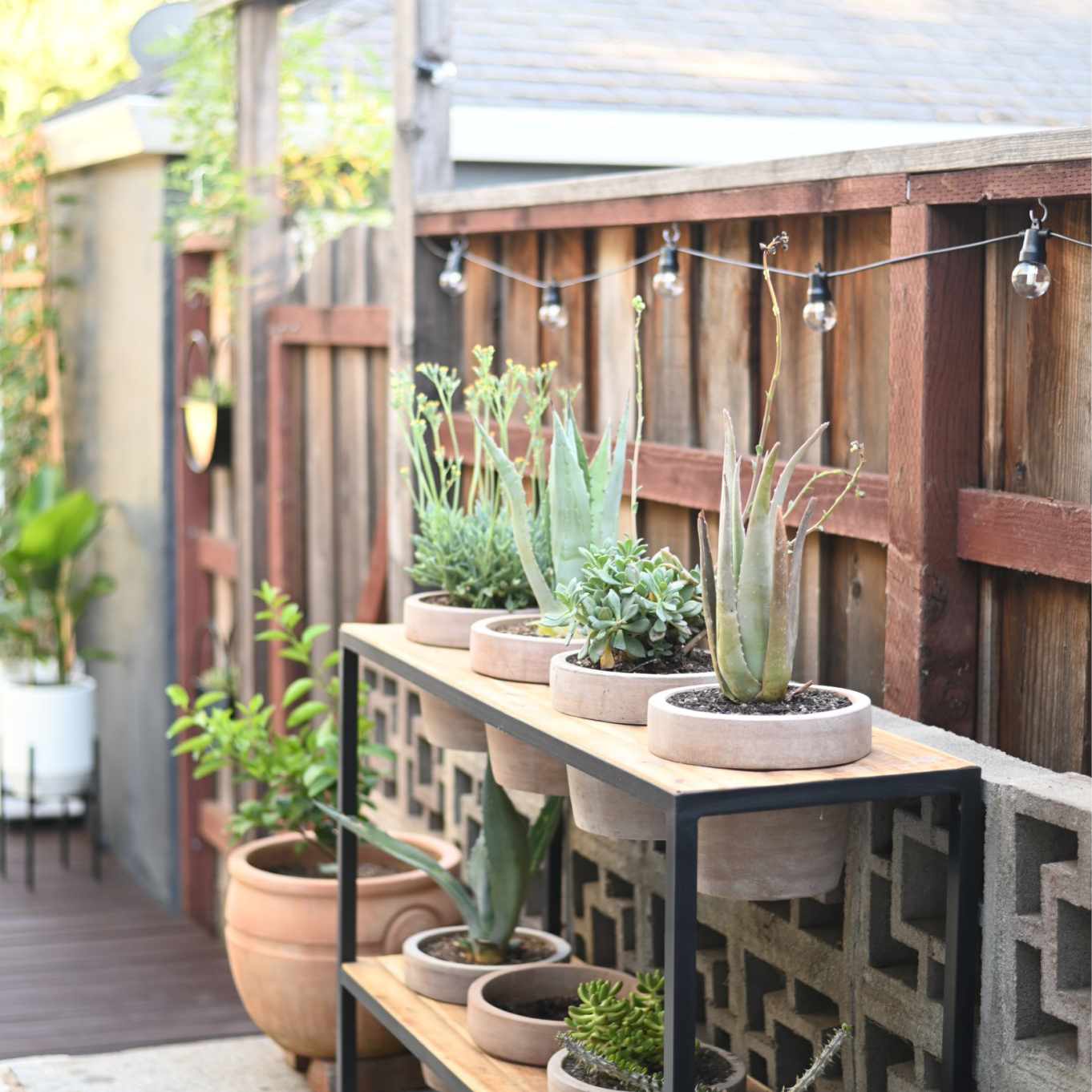 小农场司排队在木床。