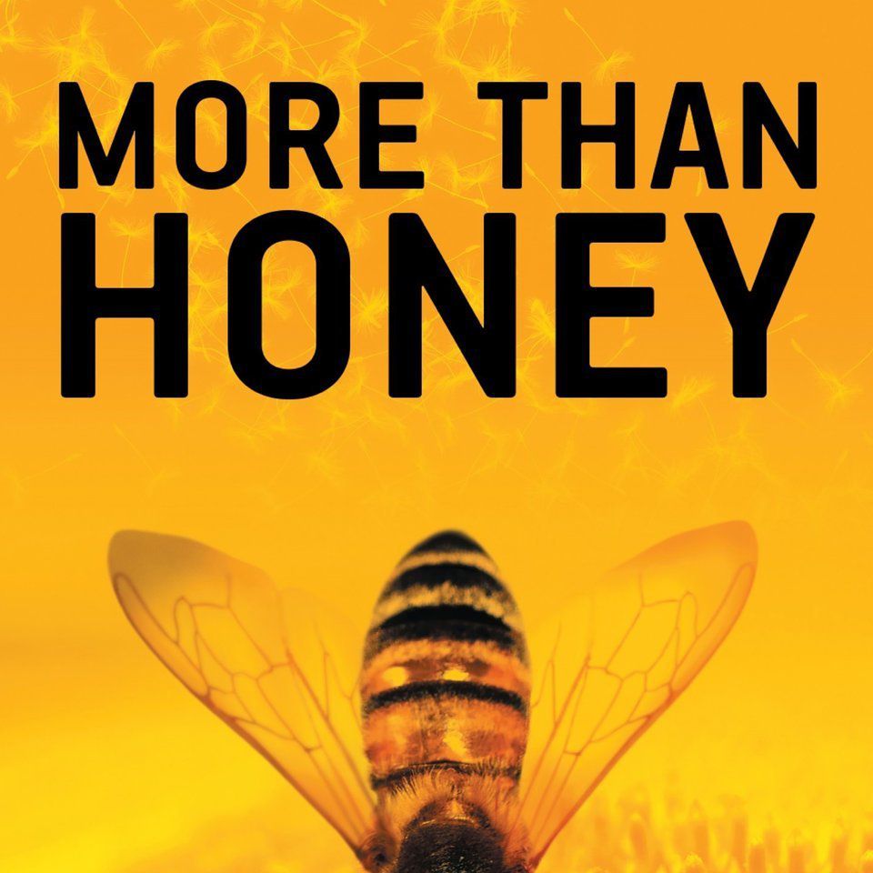 超过蜂蜜纪录片海报“class=