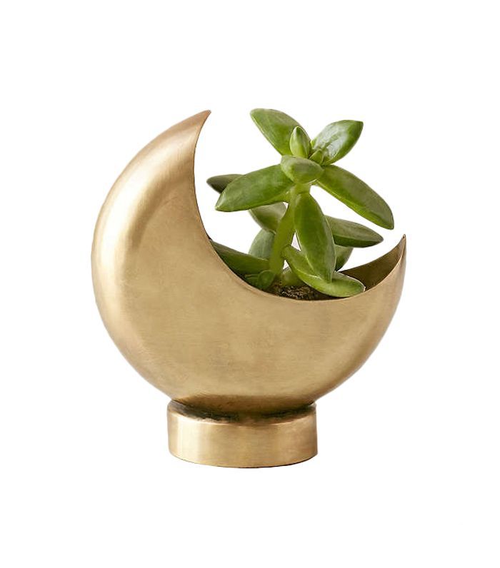 半月播种机 - 在城市户外青铜码