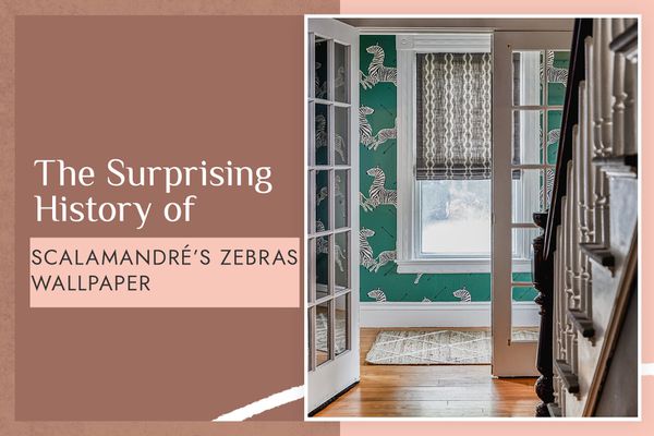 史卡莱曼博士的斑马壁纸-楼梯旁的绿色壁纸