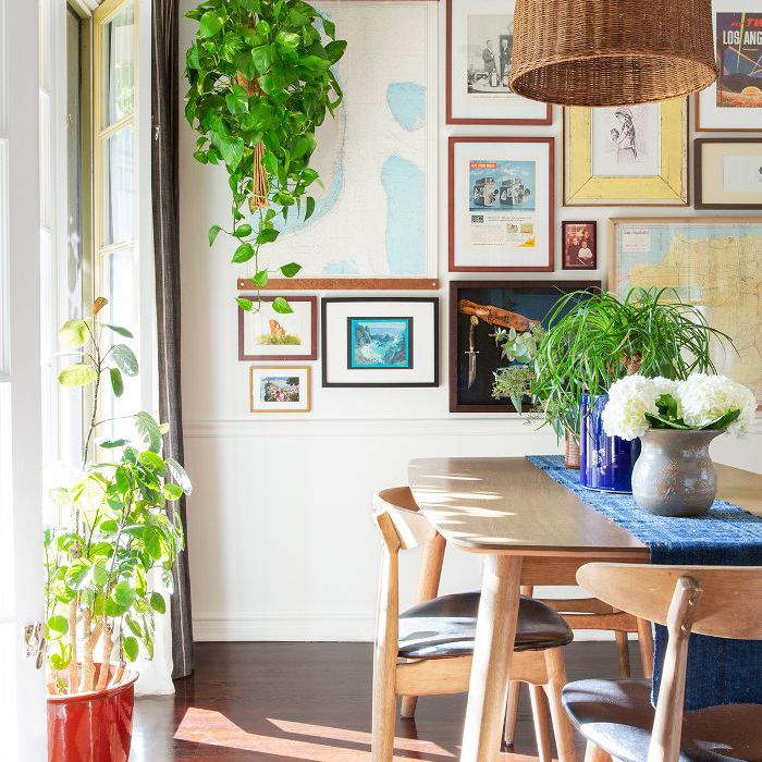 Plant-filled餐厅