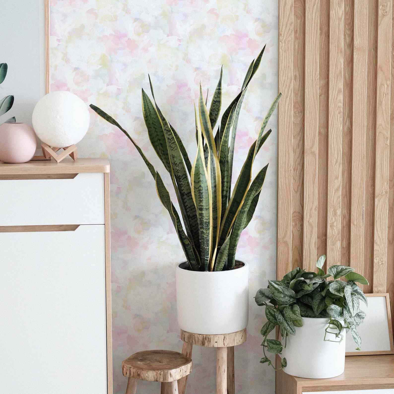 秋天装饰的想法“class=