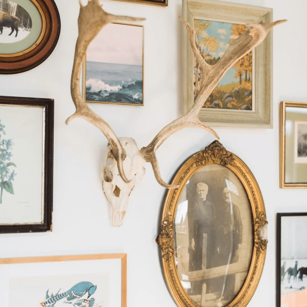 画廊的墙，由许多不同种类的框架组成