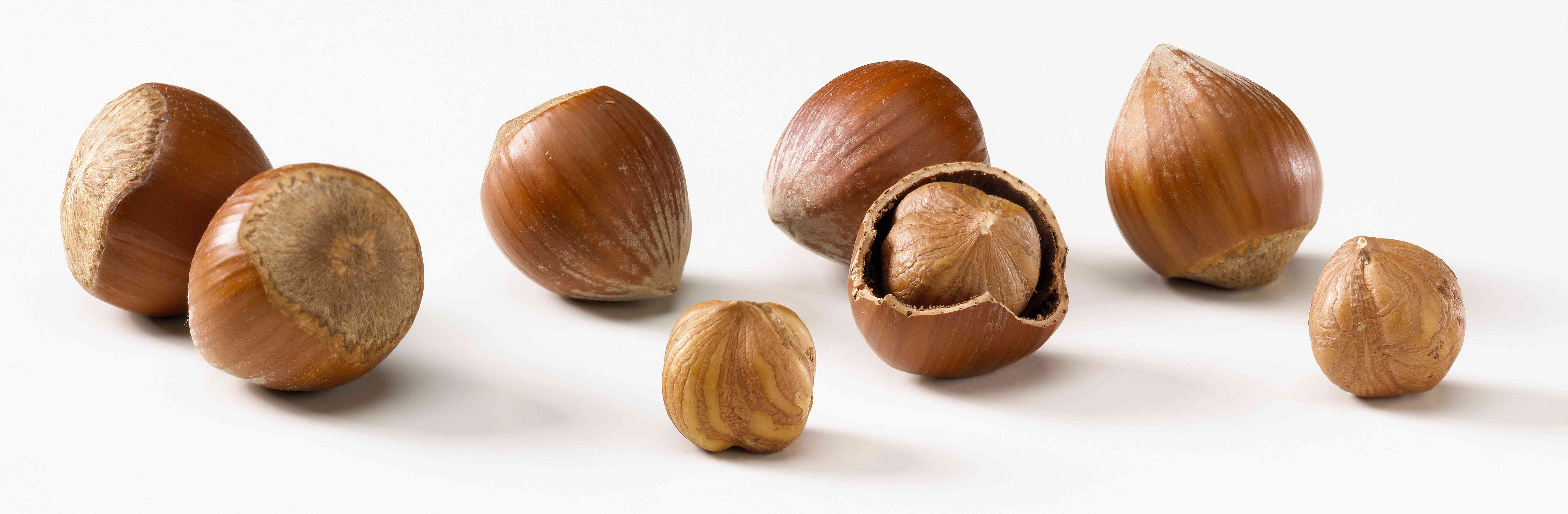 榛子，有和无壳。