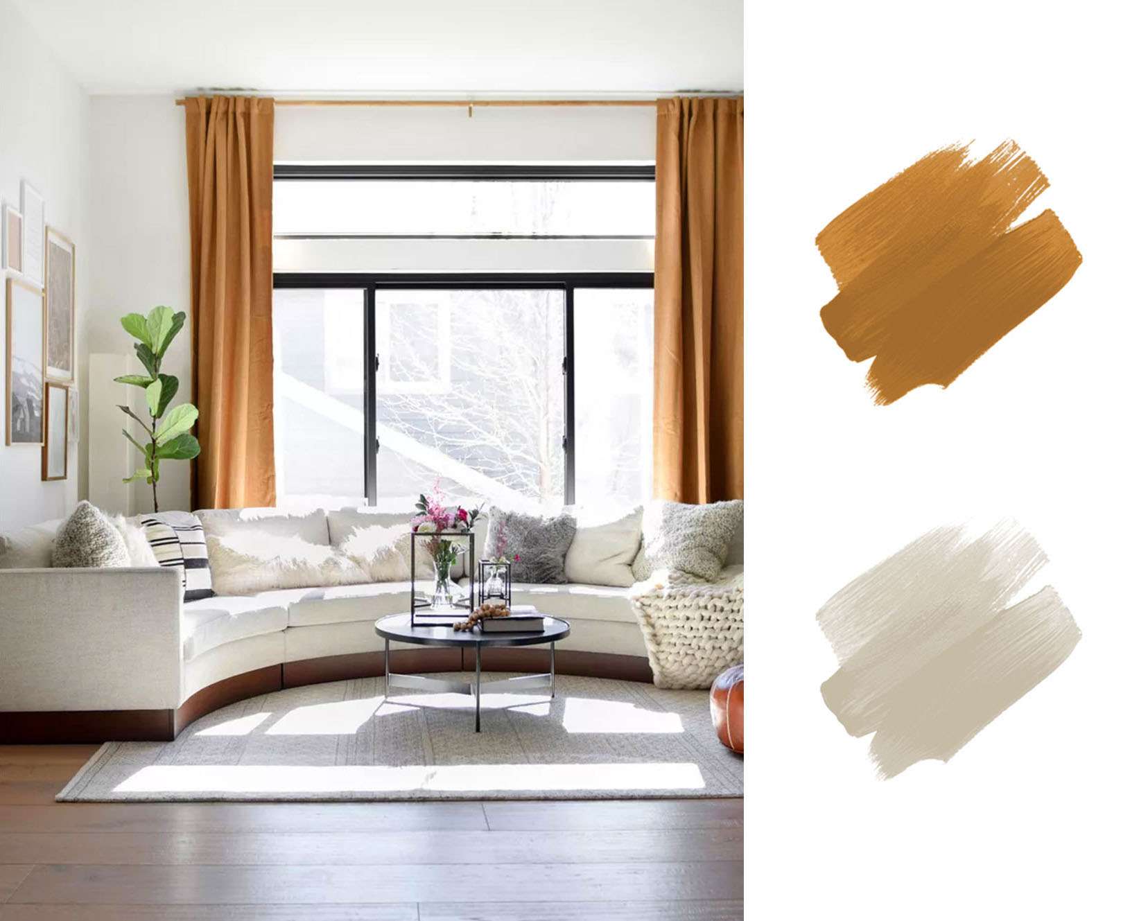 最好的大地色调调色板-金色和米色客厅