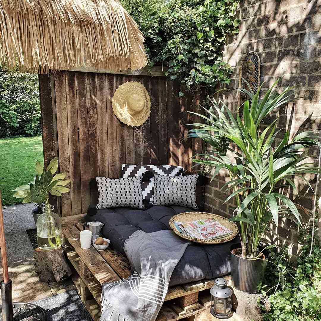 户外点心与沙发床和植物。