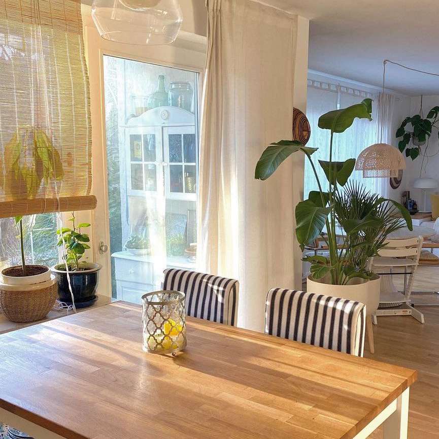 厨房香草花园非洲波西米亚生活