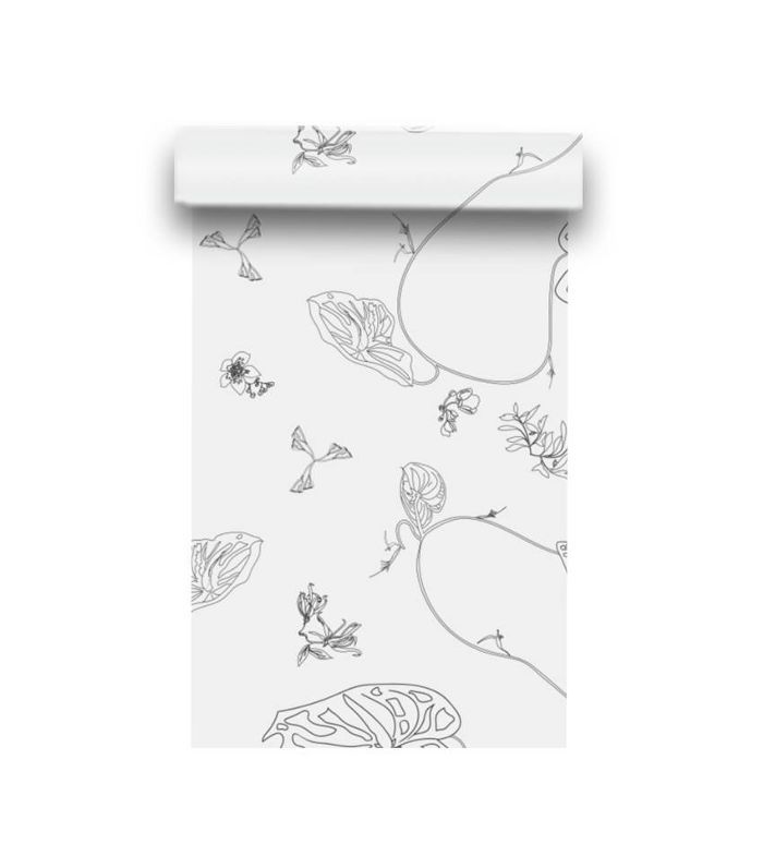 八月精舍红掌华尔兹粉笔