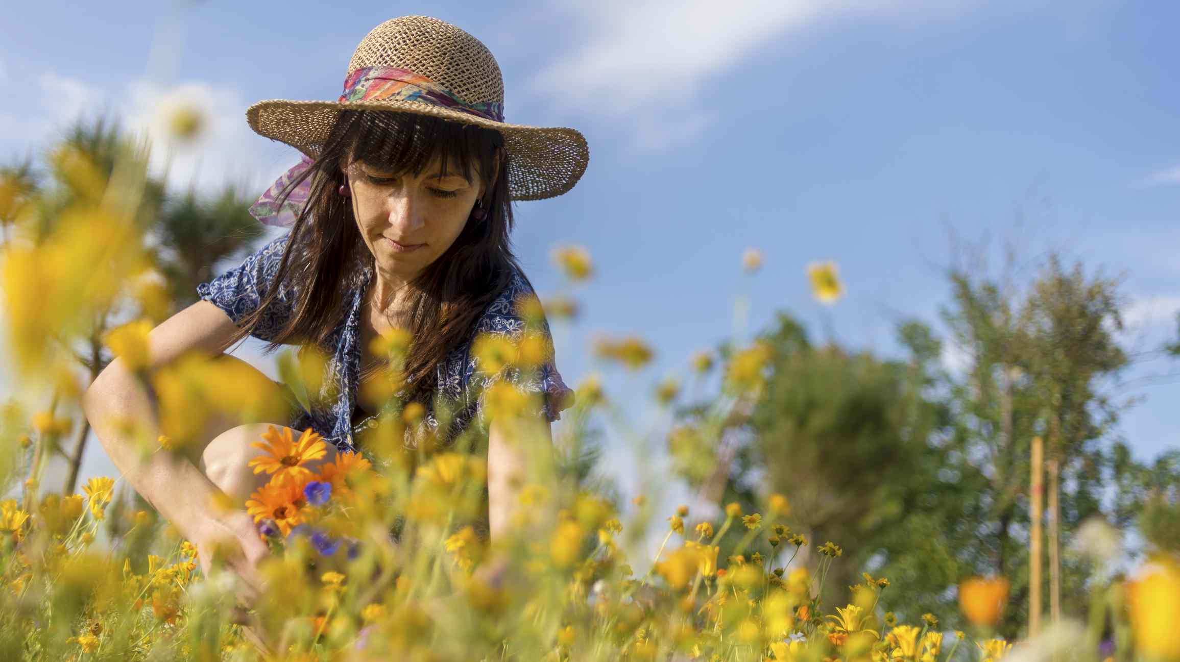 女人在路边采摘野花。