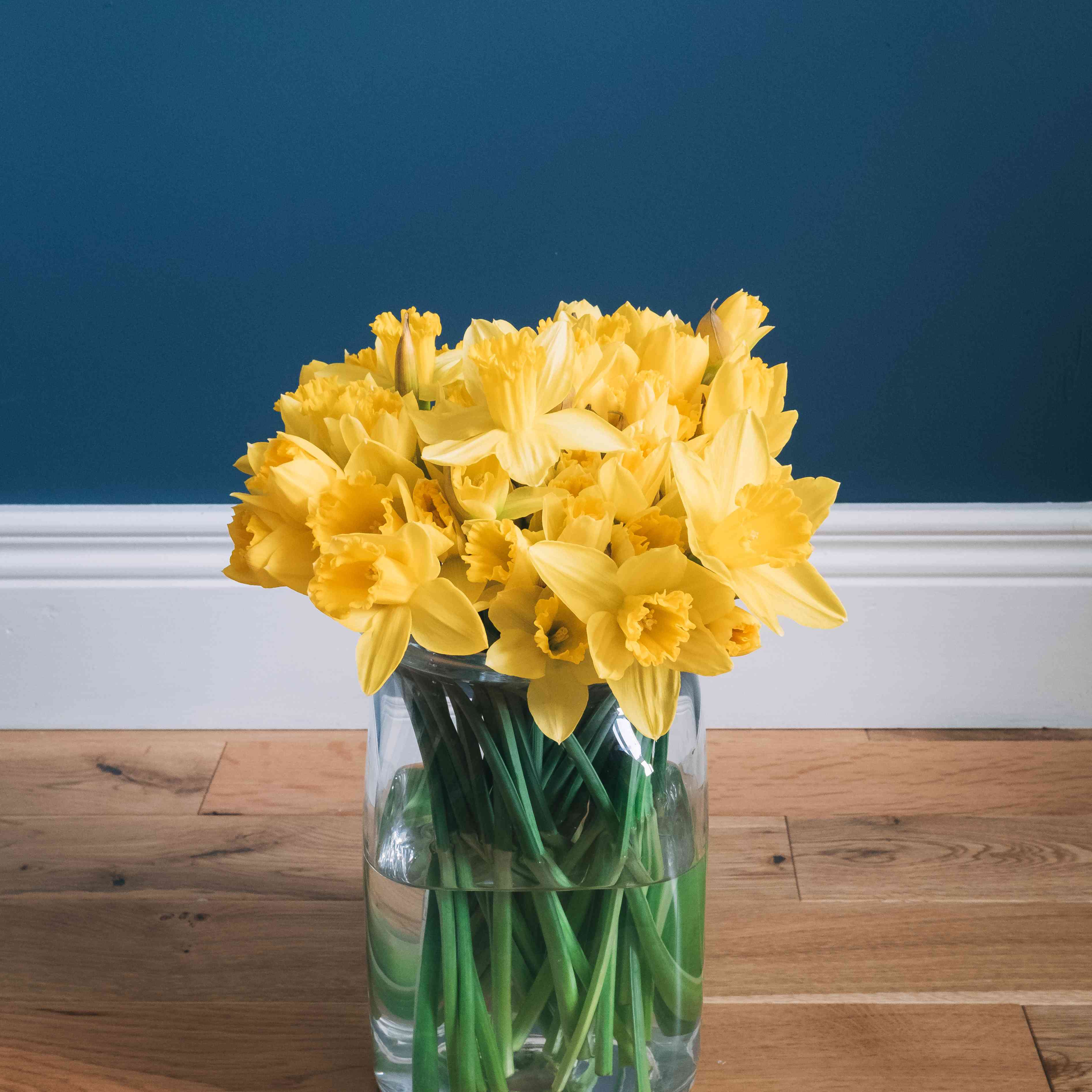 黄水仙出生月花