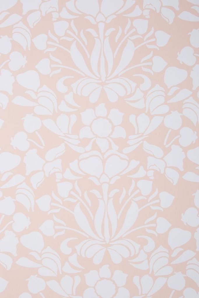 Snapdrago-Removable壁纸