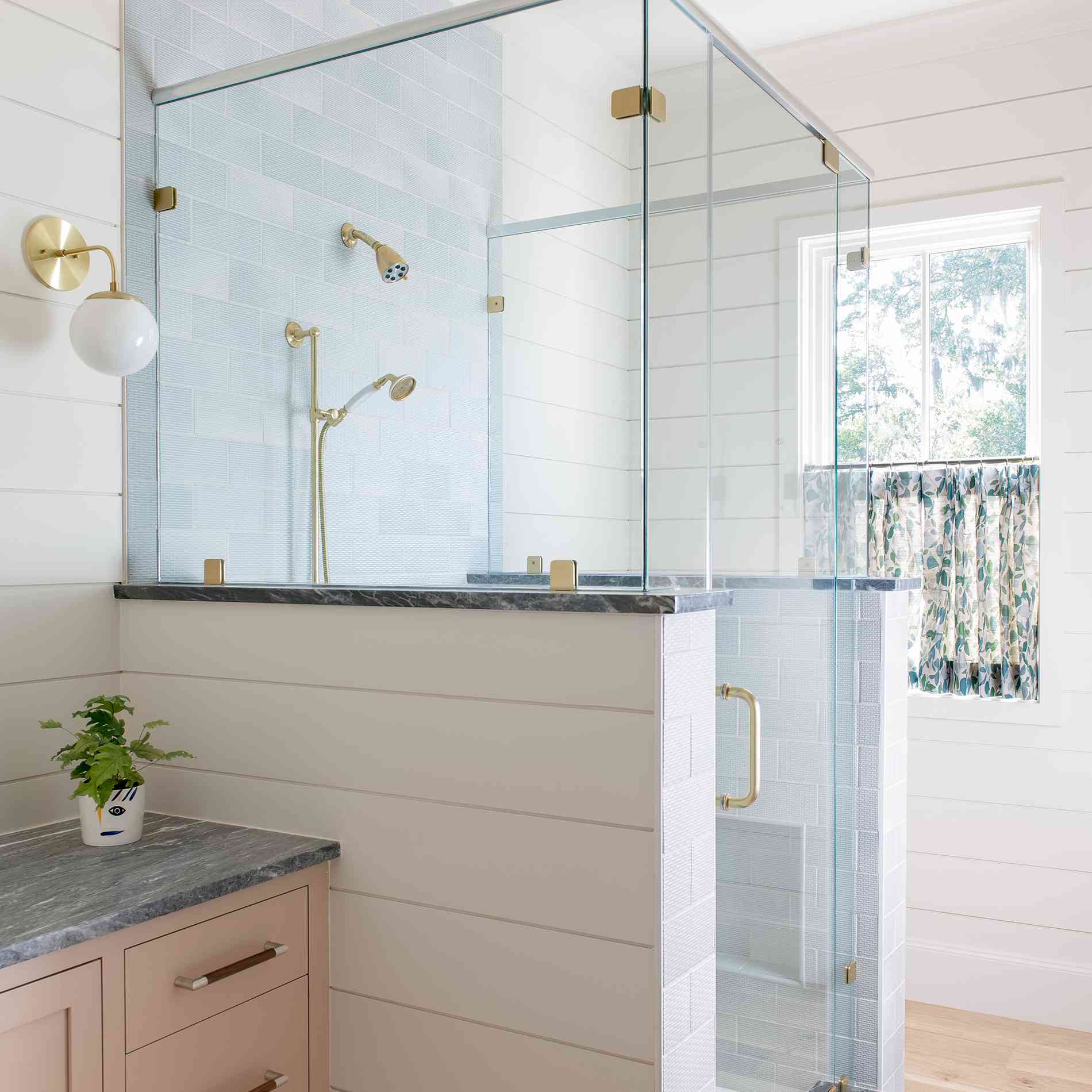 棕榈虚张声势的家