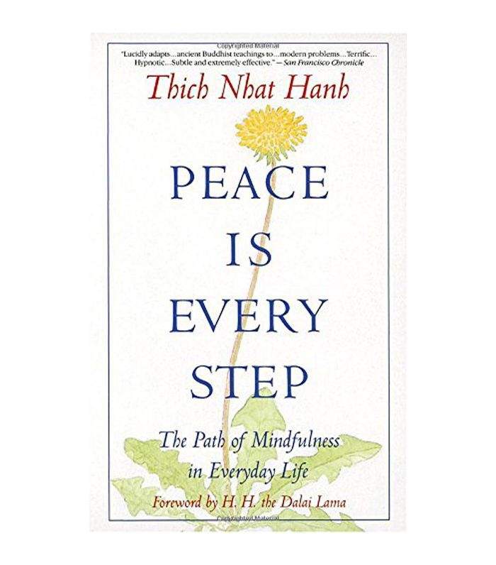 宁静是每一步:一行禅师的《日常生活中的正念之路》