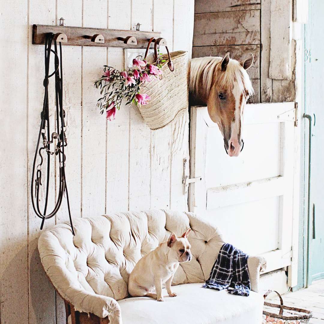 一张白色的古色古香的沙发，沙发上的软垫已经没有收拾，露出来了