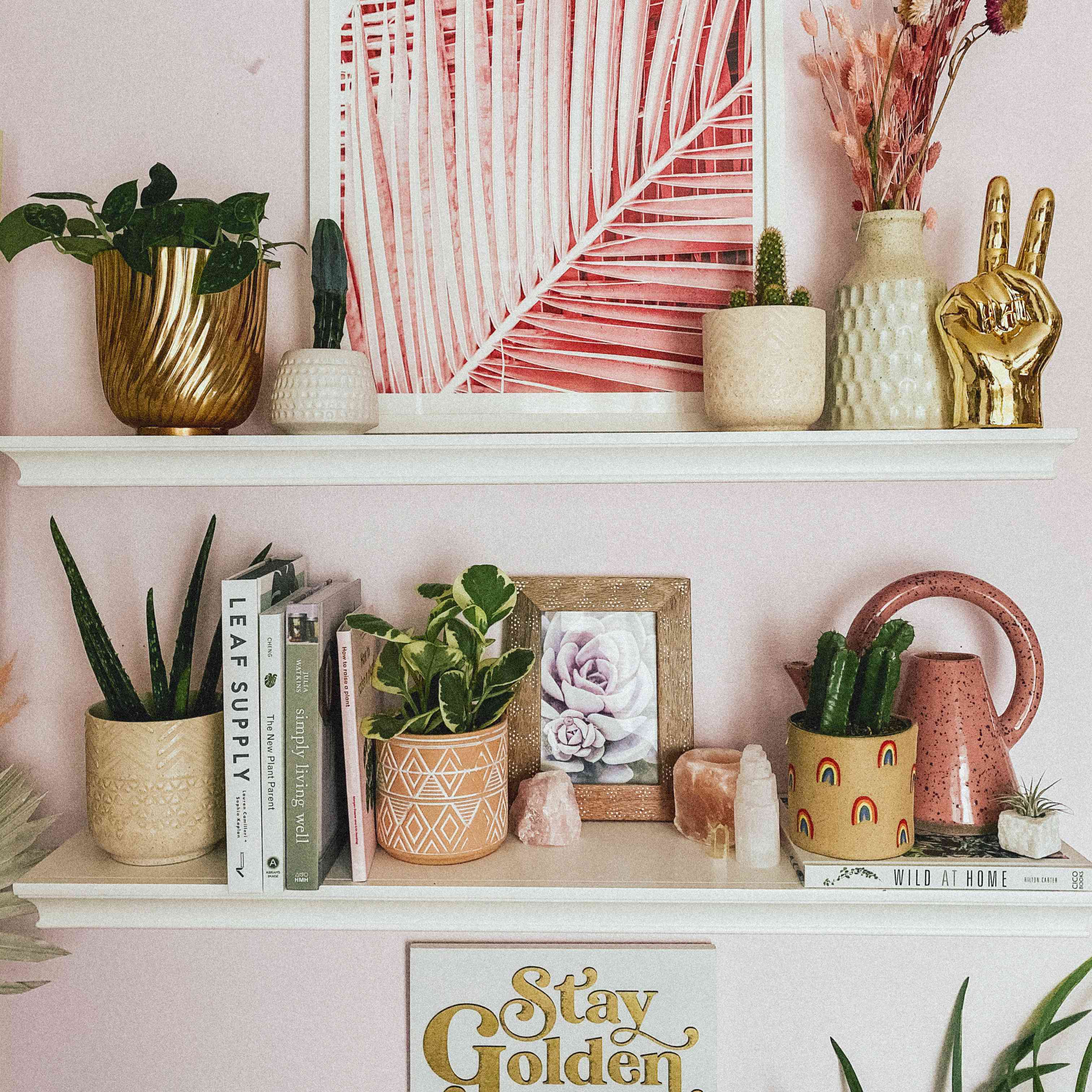 辣椒和其他室内植物在装饰架子与粉红色照片，花瓶和鲜花