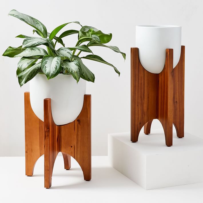 拱门人大常委会种植