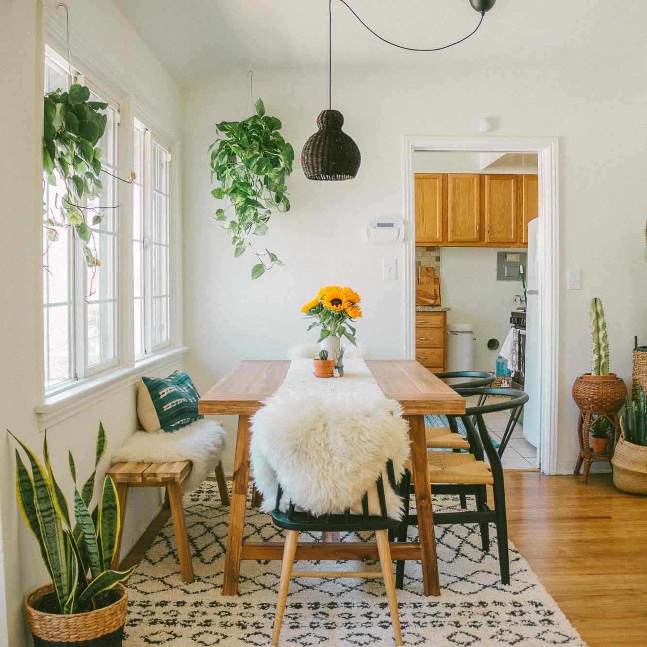 Hardwood地板修补在早餐方面