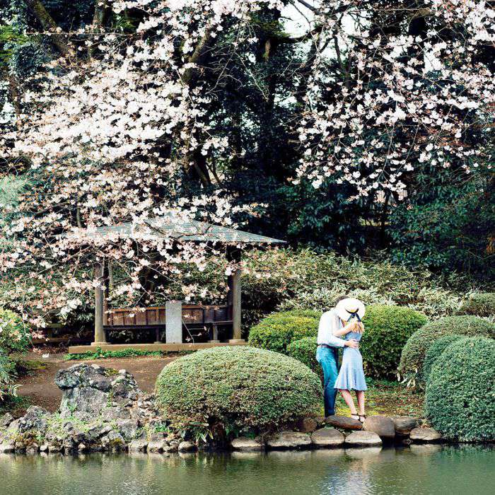 替代蜜月地点