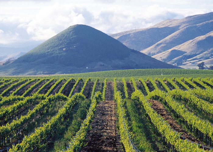 加州中部公路之旅:圣路易斯奥比斯波