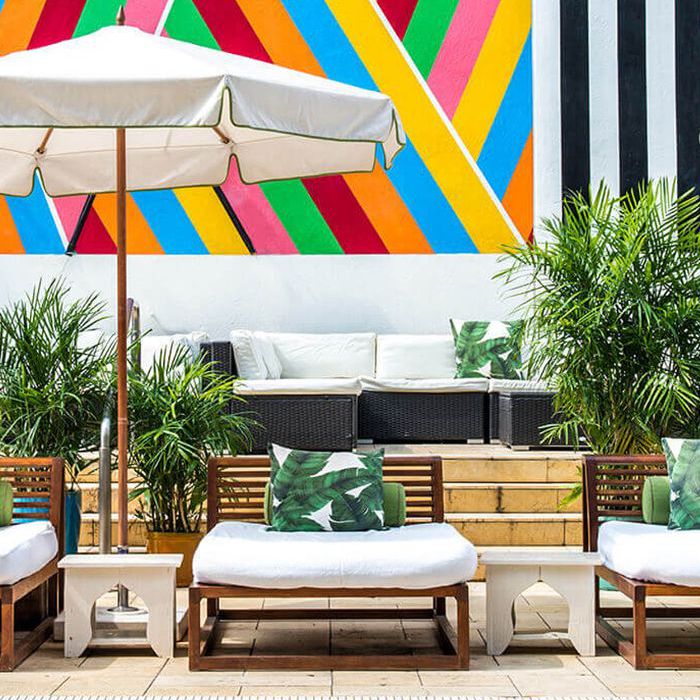 布鲁克林最好的精品酒店