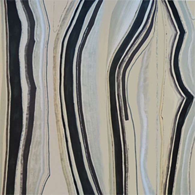 波特teleo墙面涂料