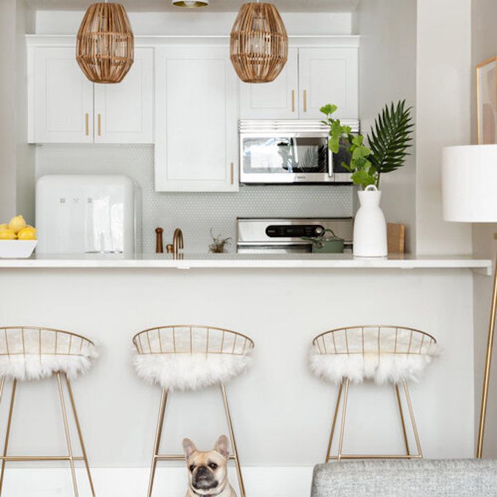 有小狗的白色公寓厨房。