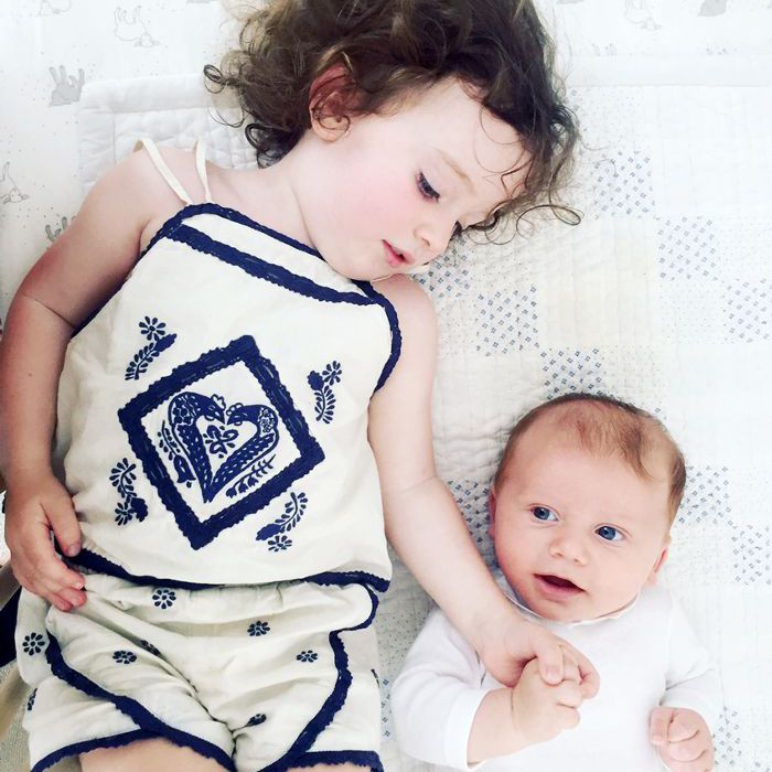 小型苗圃的构思