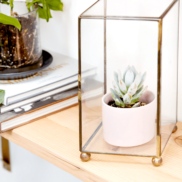 货架装饰有Etsy的作品