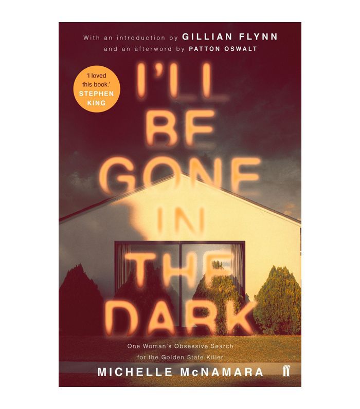 《我将消失在黑暗中》米歇尔·麦克纳马拉著