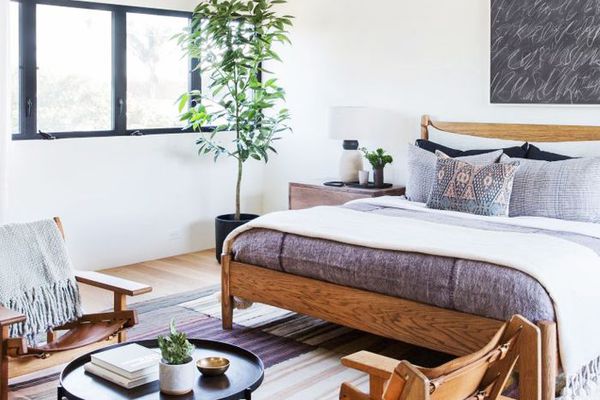 有几个植物的现代卧室