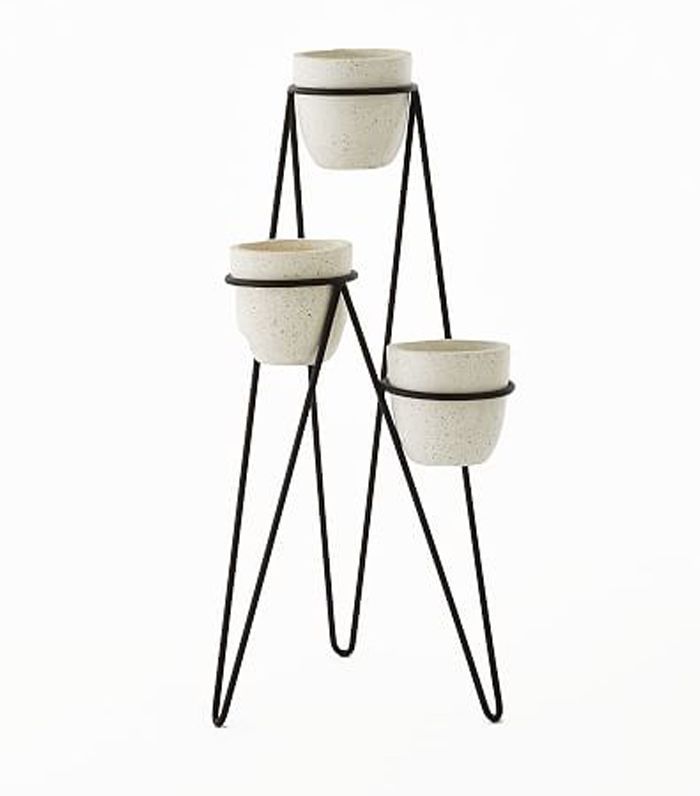 鸢尾种植+人字形支架